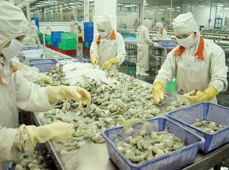 ASEAN Today ca ngợi nỗ lực của Việt Nam chống đánh bắt cá bất hợp pháp