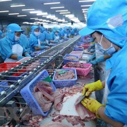 Cần quan tâm hơn xuất khẩu tôm sang thị trường ASEAN