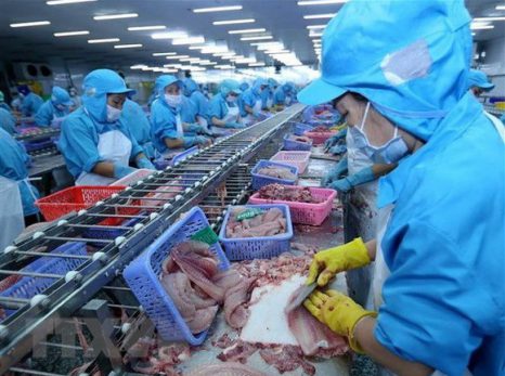 Cần quan tâm hơn xuất khẩu tôm sang thị trường ASEAN